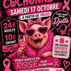 Soirée Rose à Saulzais le Potier