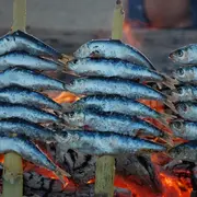 Soirée sardinade & moules frites