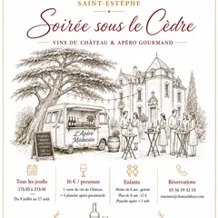 Soirée sous le cèdre