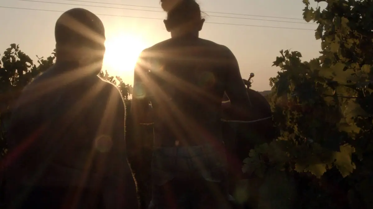 Soirée Vigneronne : Dégustation De Vins Et Projection Film