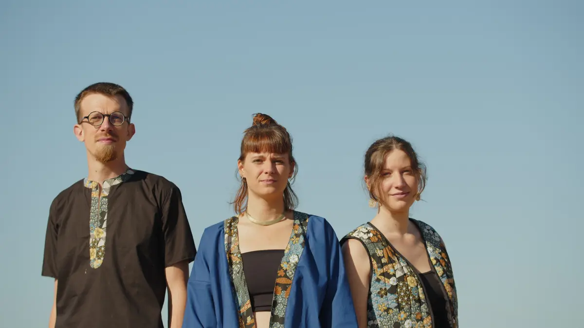 Soirées d'été : concerts