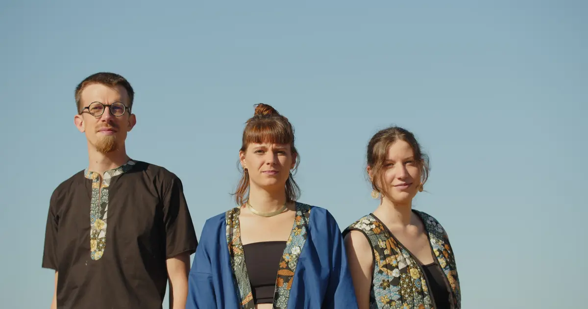 Soirées d'été : concerts