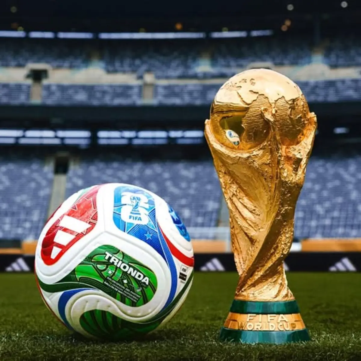 Soirées Sports