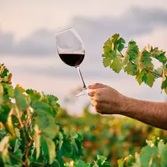 Soirées Vigneronnes au Domaine de Lasfargues