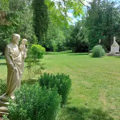 Solennité de l'Assomption