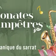 Sonates champêtres : Quintette cuivres Aquitain