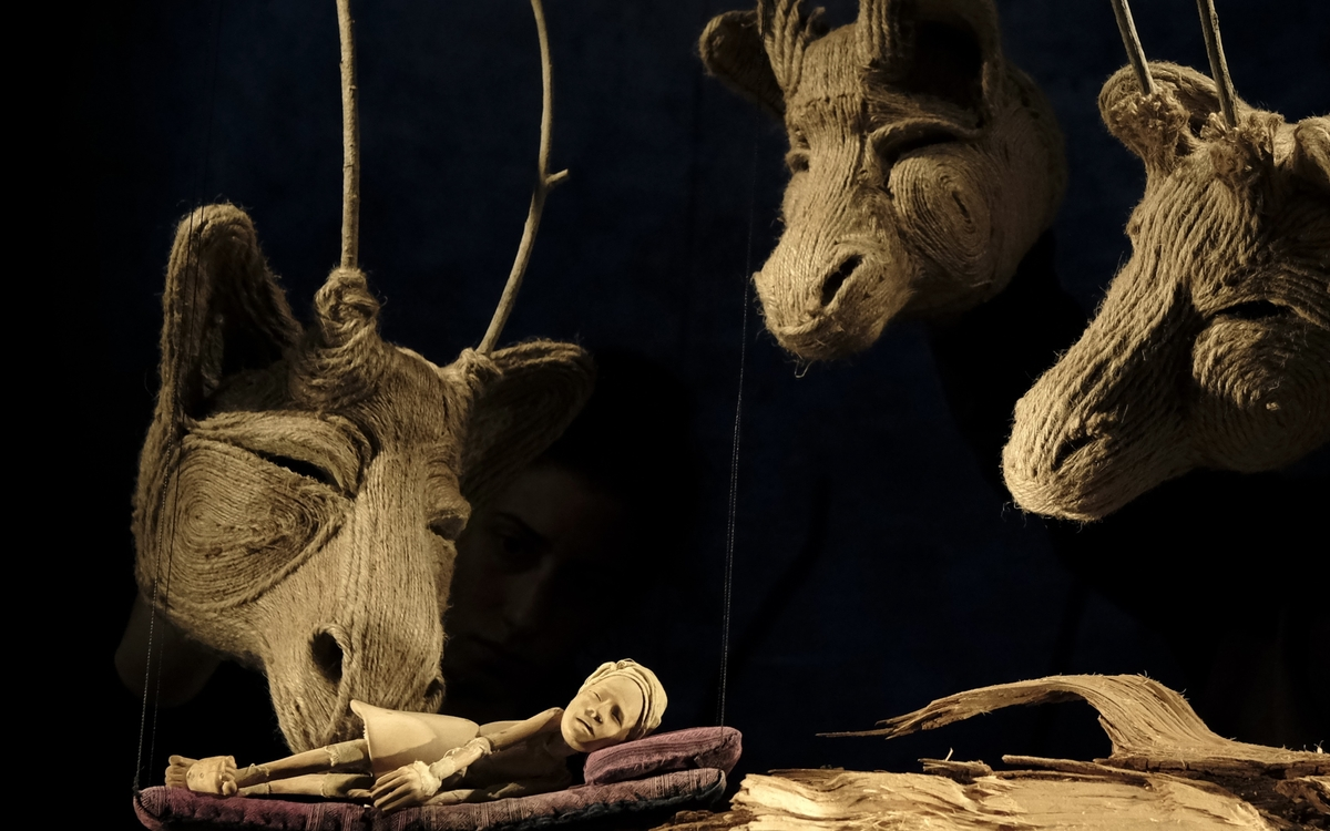 Songe d'une forêt oubliée