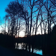 Songe d'une nuit d'été