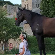 Songe : spectacle équestre et musical
