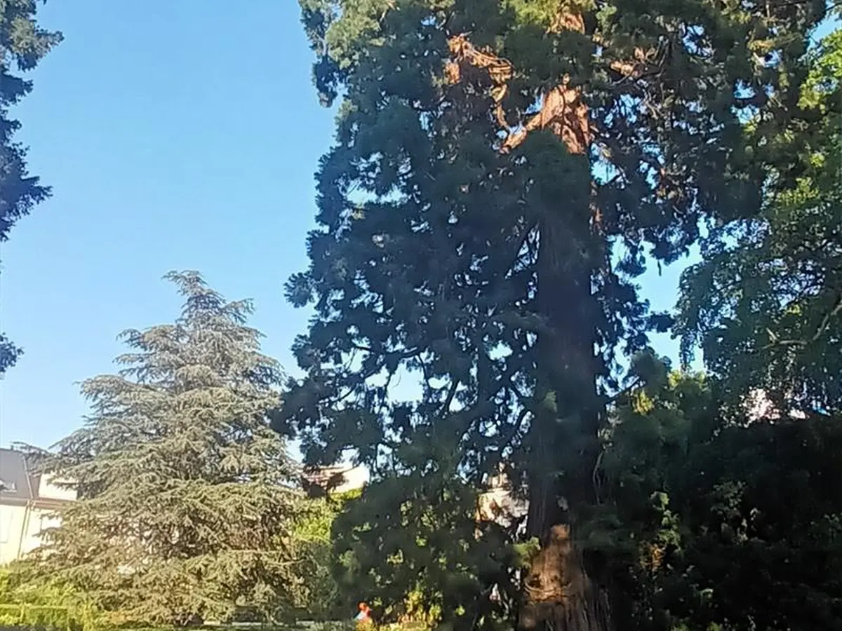 Sophro balade au Botanique