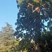 Sophro balade au Botanique