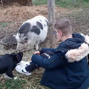 Sophro-duo à la Ferme avec Les Sabots de Laine