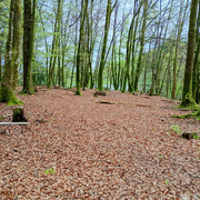 Sophrobalade, une vraie pause, pour revenir à l'Essentiel, au cœur de la Nature !