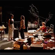 Sorcières (titre provisoire)