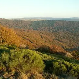 Sortie à l'écoute du Brame du Cerf