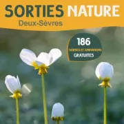 Sortie à la découverte des champignons