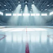 Sortie à la patinoire pour tous