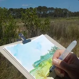 Sortie aquarelle sur les oiseaux