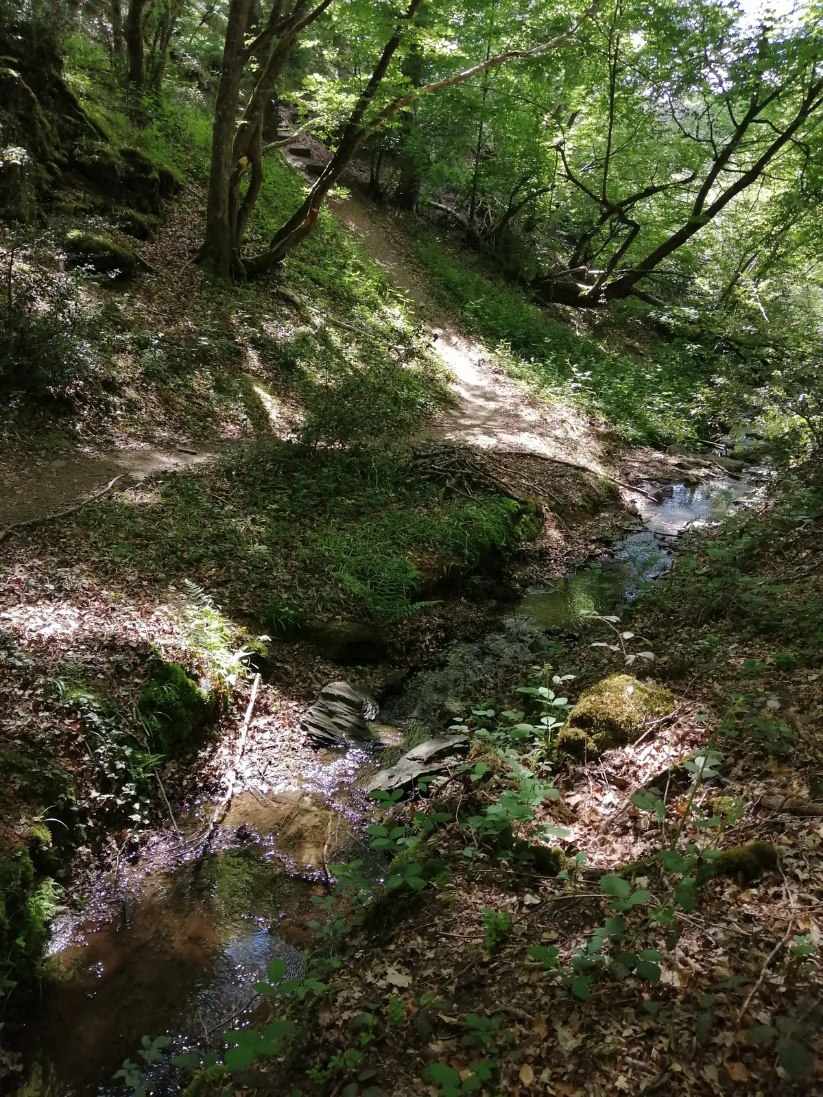 Sortie au Moulin des Fougères