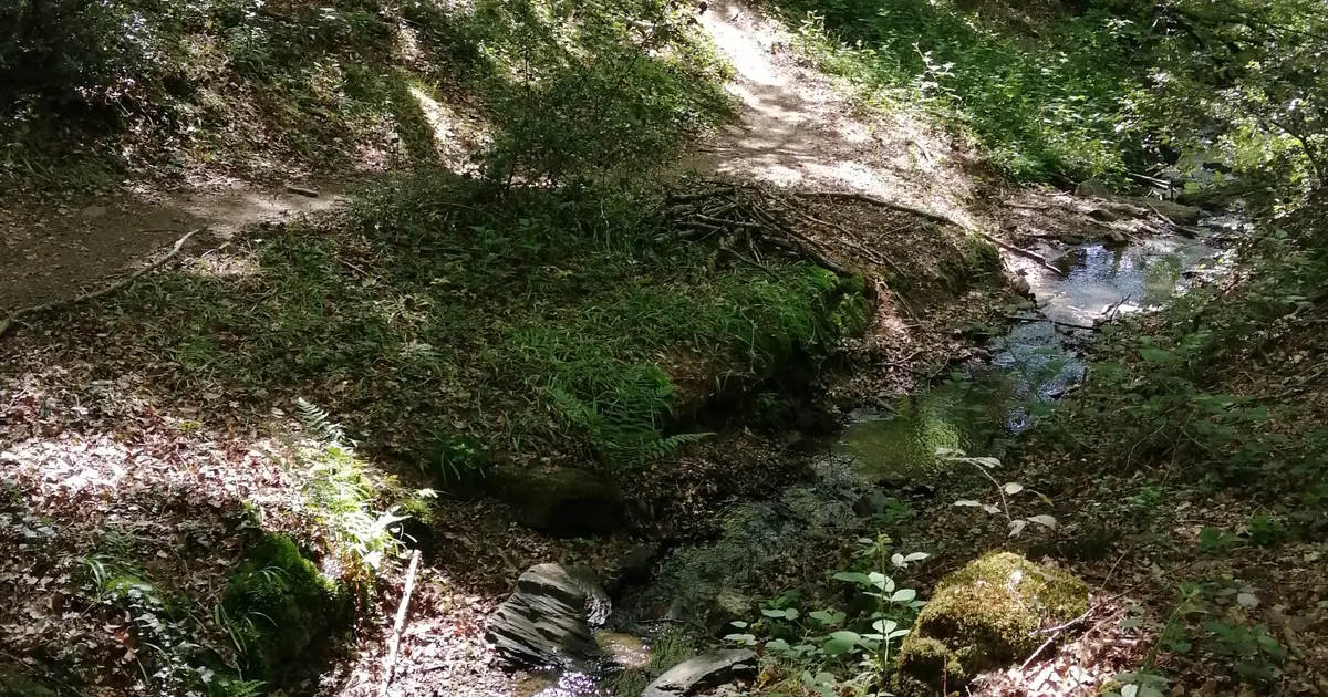 Sortie au Moulin des Fougères