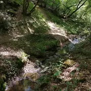Sortie au Moulin des Fougères