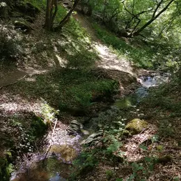 Sortie au Moulin des Fougères