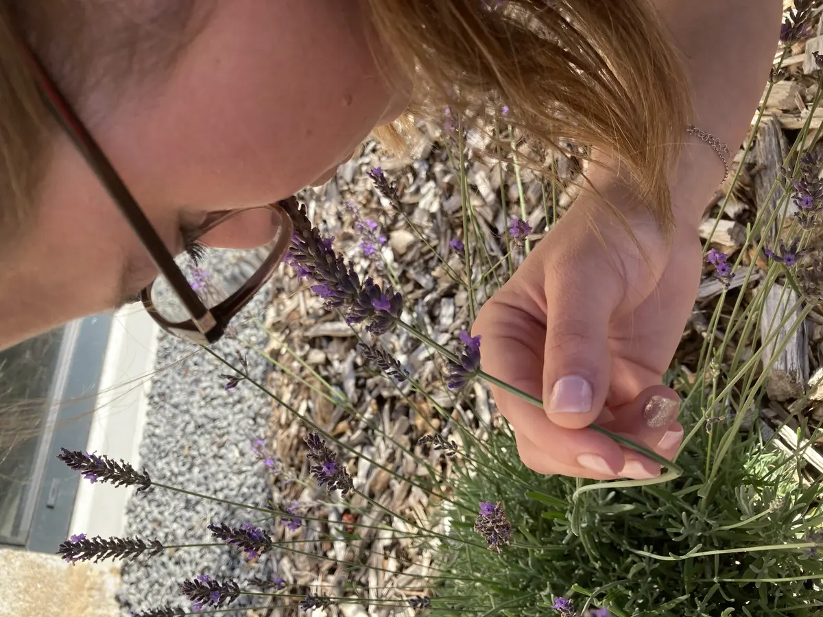 Sortie avec la maison de la nature - Forêt sensorielle