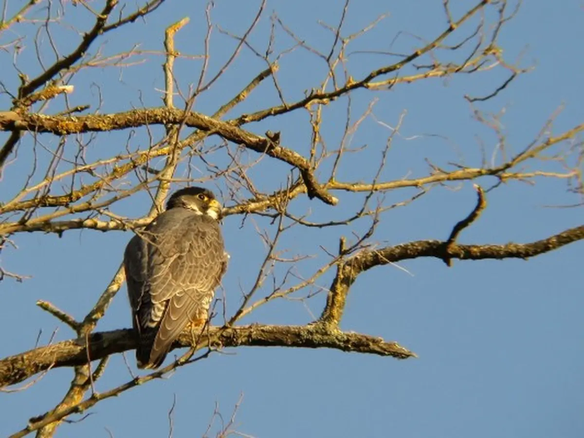Sortie Bord de Vienne