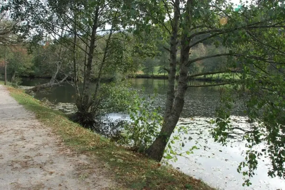 Sortie botanique à Layoule