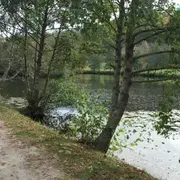 Sortie botanique à Layoule