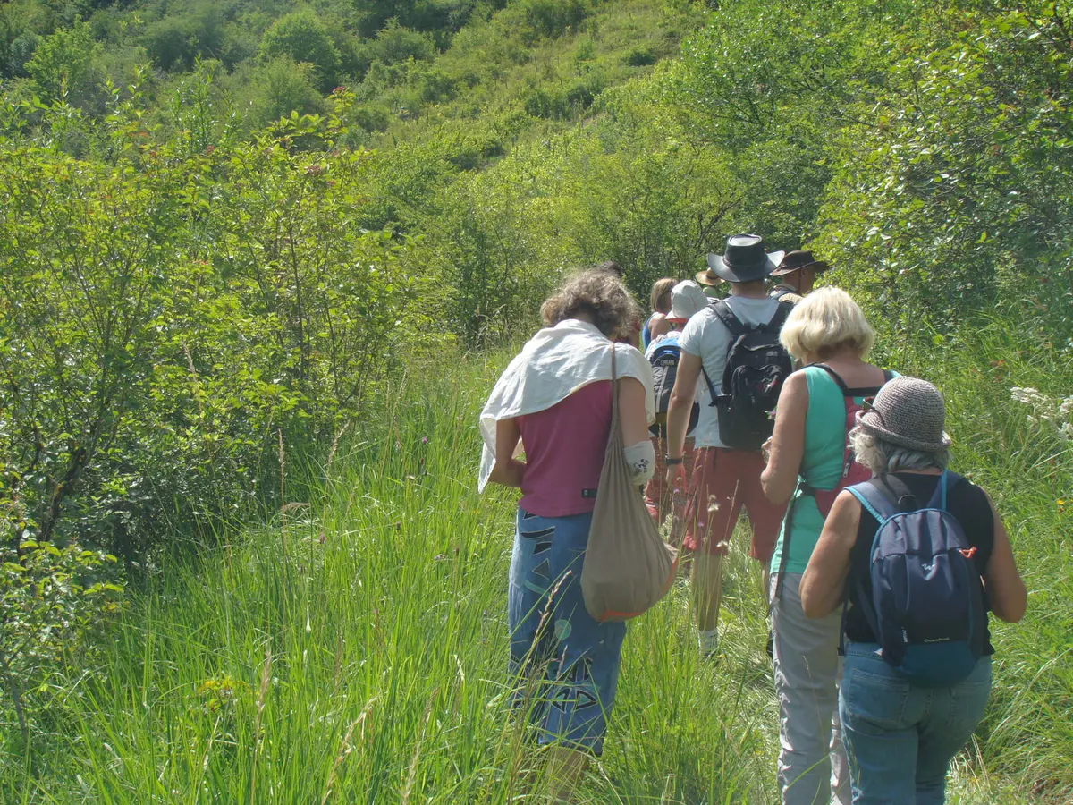 Sortie botanique ENS