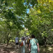 Sortie botanique et mycologique