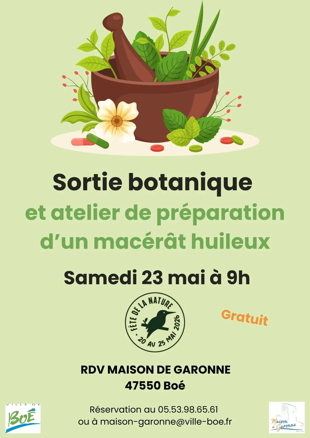 Sortie botanique et préparation d’un macérat huileux