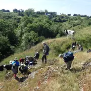Sortie botanique - Faye-L'Abbesse, chemin de randonnée