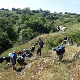 Sortie botanique - Faye-L'Abbesse, chemin de randonnée