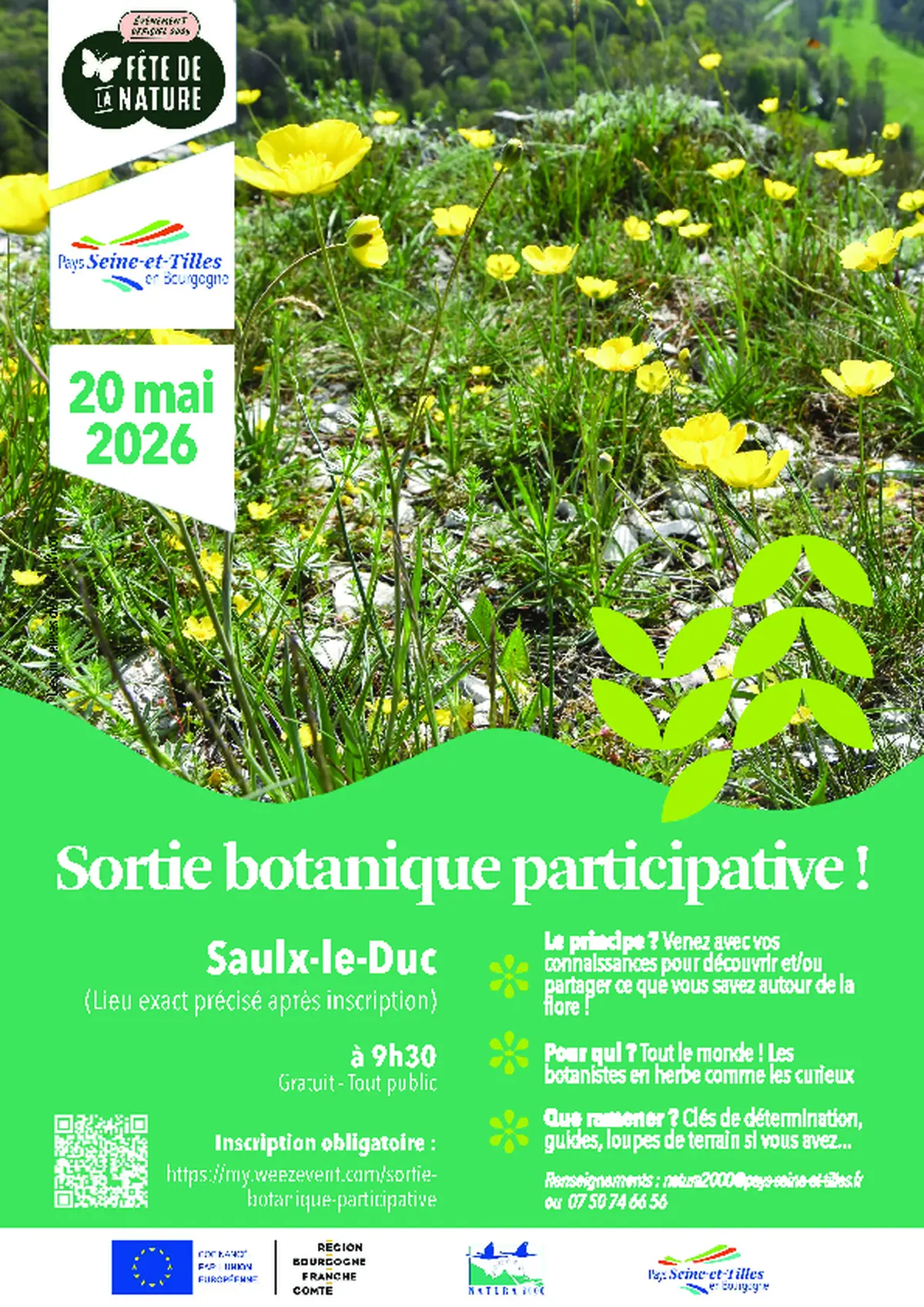 Sortie botanique participative à Saulx-le-Duc