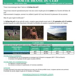 Sortie Brame Du Cerf Avec Concept Séjours
