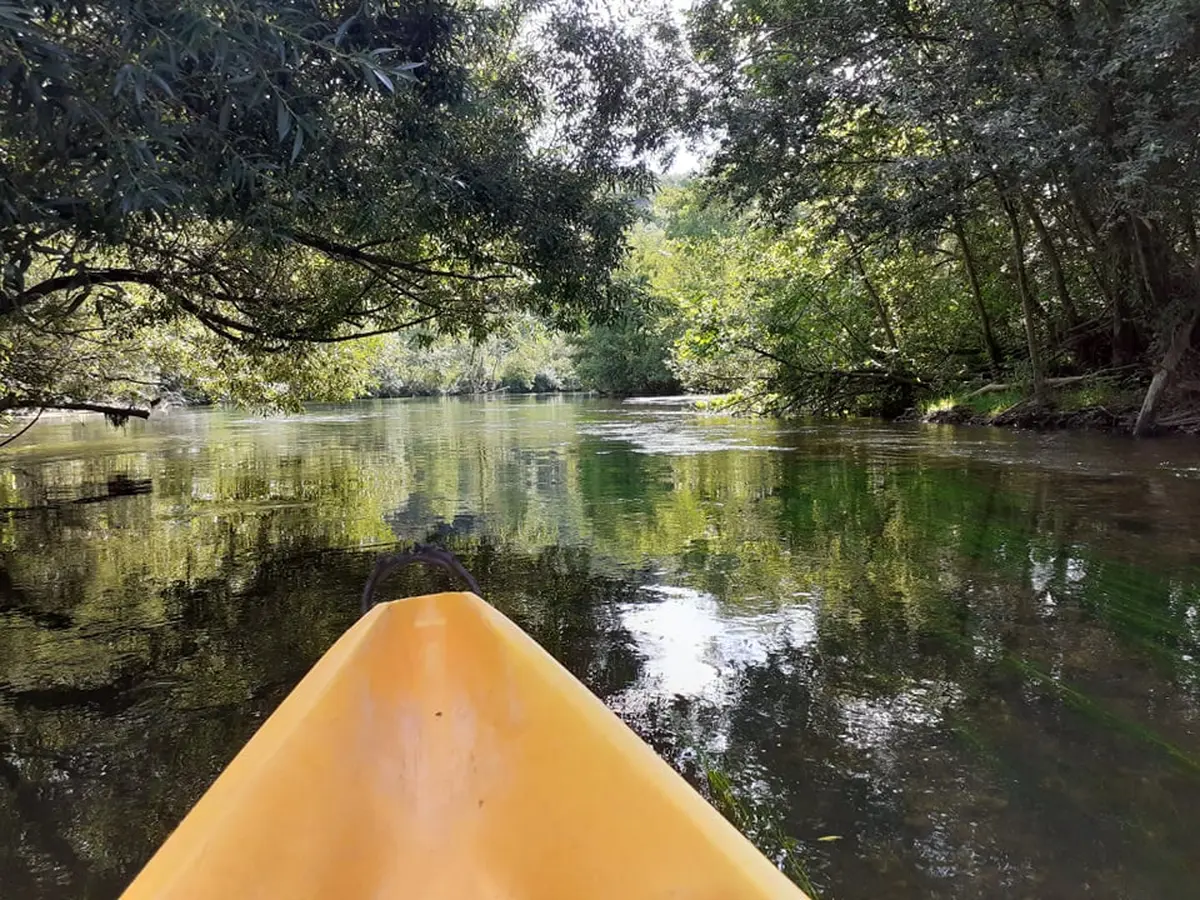 Sortie canoë : ramassage de déchets et découverte des mammifères semi-aquatiques à Vendôme