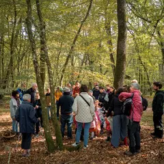 Sortie champignons - Balade ludique en forêt d'Allogny