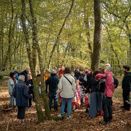 Sortie champignons - Balade ludique en forêt d'Allogny