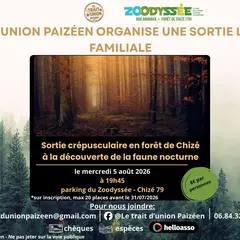 Sortie crépusculaire en forêt de Chizé