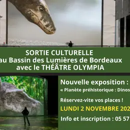 Sortie culturelle au Bassin des Lumières
