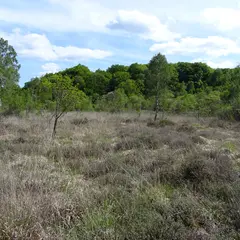 Sortie découverte