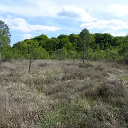 Sortie découverte