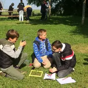 Sortie découverte des insectes : des bêtes pas si bêtes !