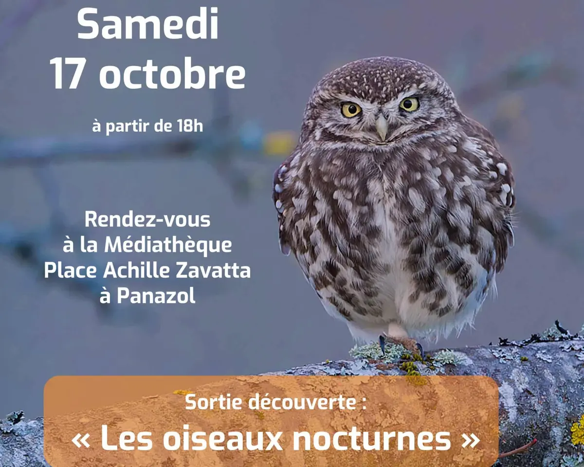 Sortie découverte « Les Oiseaux nocturne »