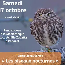 Sortie découverte « Les Oiseaux nocturne »