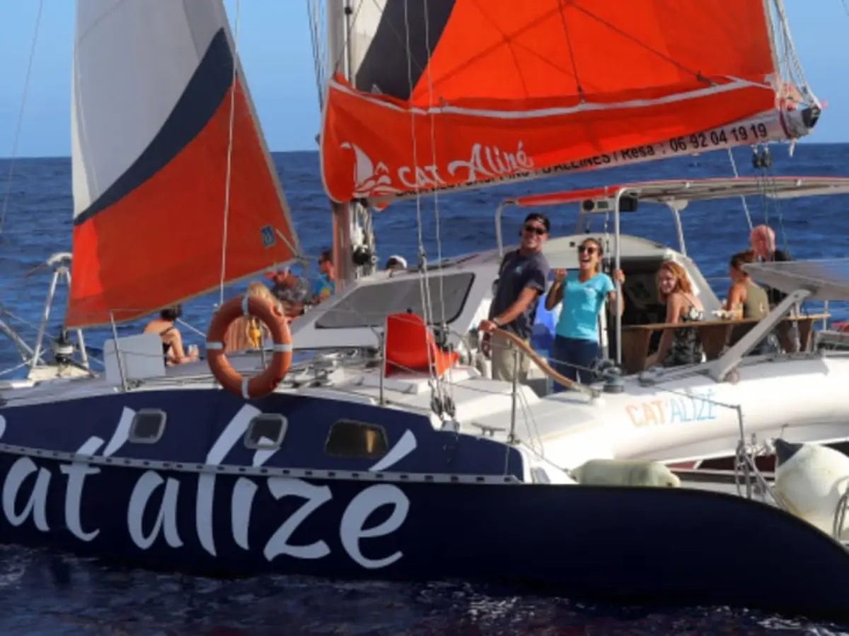 Sortie en catamaran et détente en mer à Saint-Gilles-les-Bains