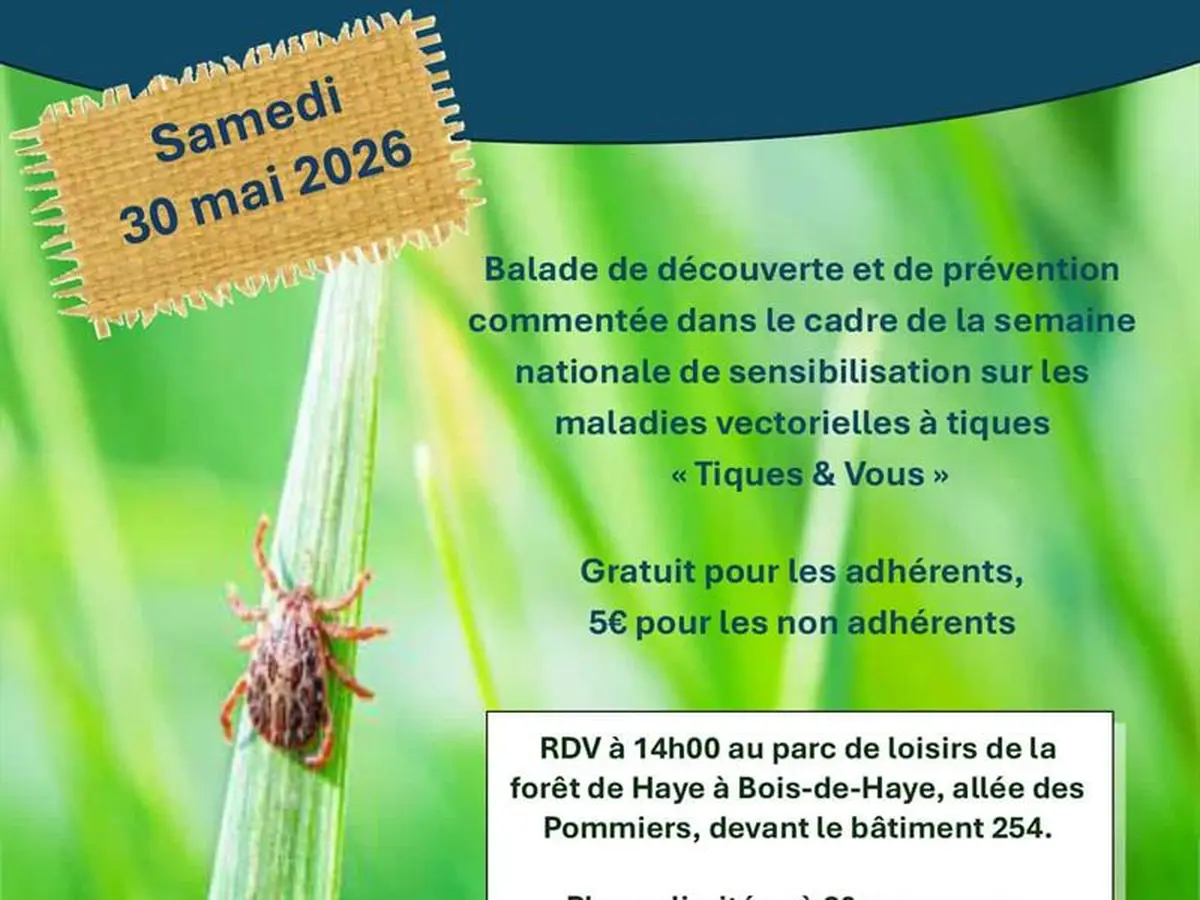 Sortie en forêt pour la prévention des piqüres de tiques - Forêt de Haye