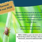 Sortie en forêt pour la prévention des piqüres de tiques - Forêt de Haye